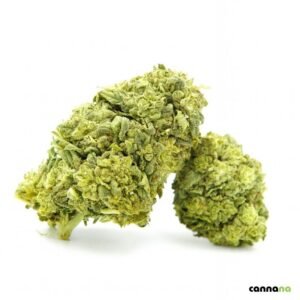 Galletas Glaseadas Superior 55% ❄️🍪