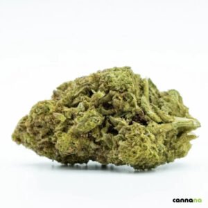 🦍 Flores de Gorilla Glue 10-OH 30%