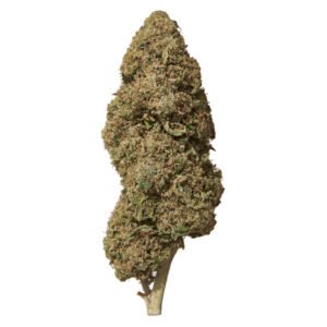 Flor de CBD de fresa ácida